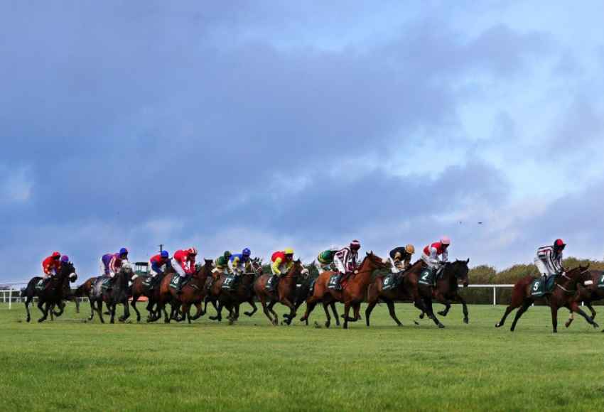Horses grouped racing around the bend at Leopardstown racecourse