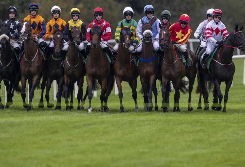 Horse Racing Ireland Press Office Horse Racing Ireland