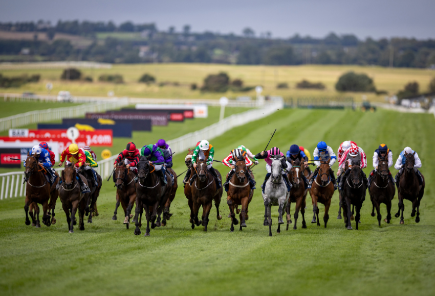 2025 Irish Thoroughbred Racing Industry Statistics.