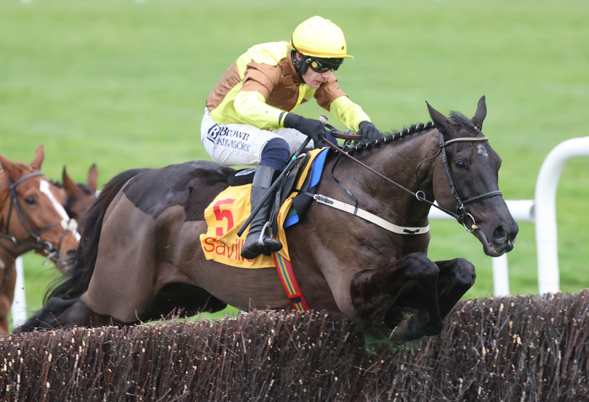Galopin Des Champs bids for a fourth victory in Saturday's Paddy Power Irish Gold Cup for Willie Mullins.