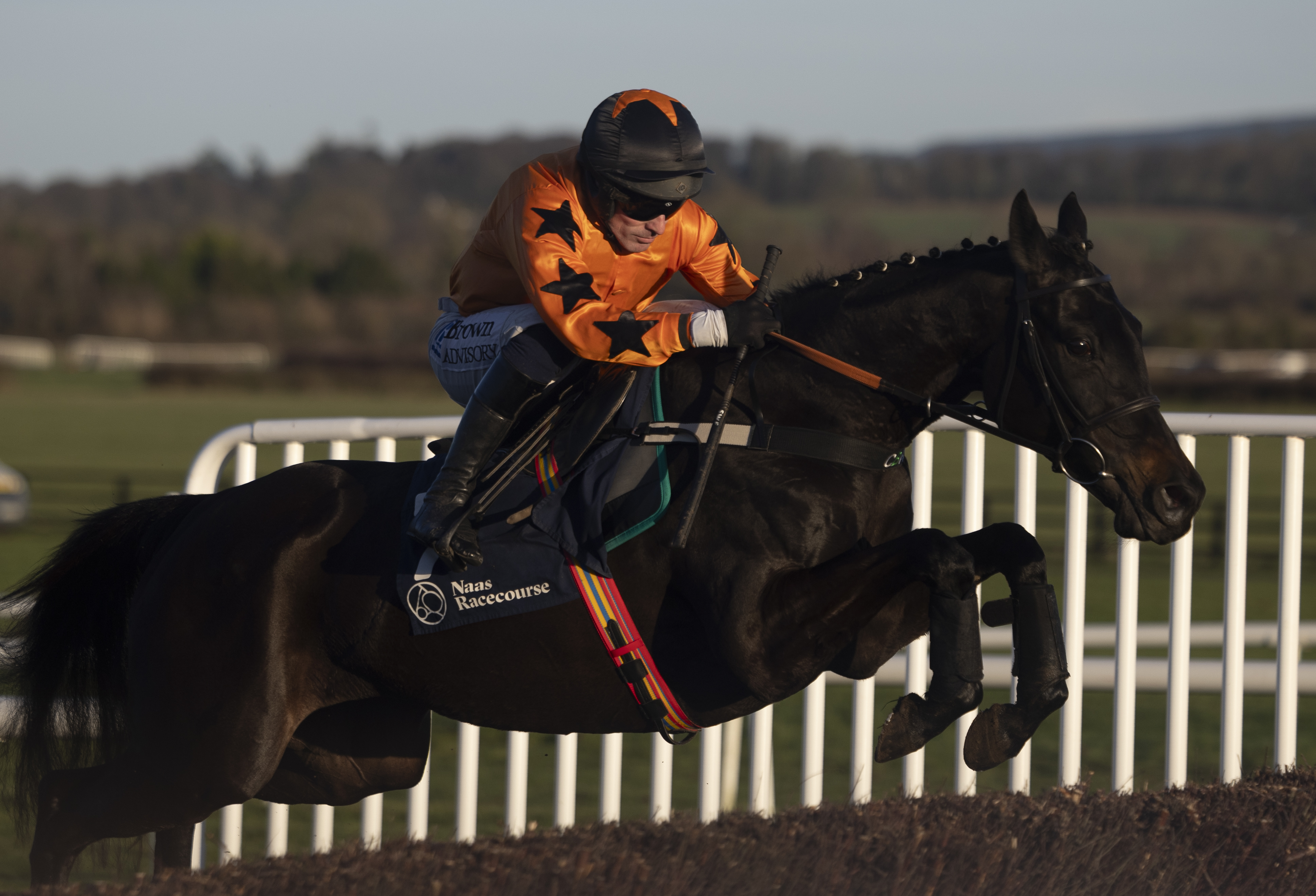 The Great Nudie bounds to victory at Naas