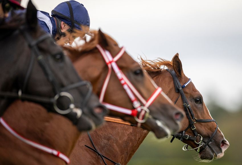 Horse Racing Ireland Press Office Horse Racing Ireland