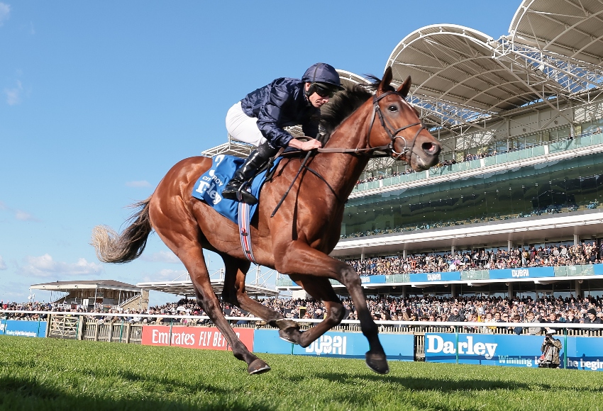 Aidan O'Brien: Top 10 horses