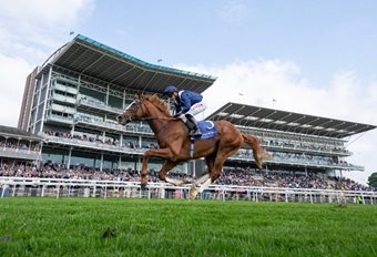 Economics and Auguste Rodin star in Saturday showdown at Irish Champions Festival