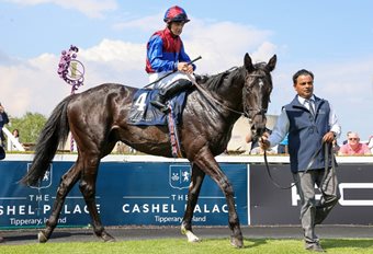 Three Irish raiders target Arc glory