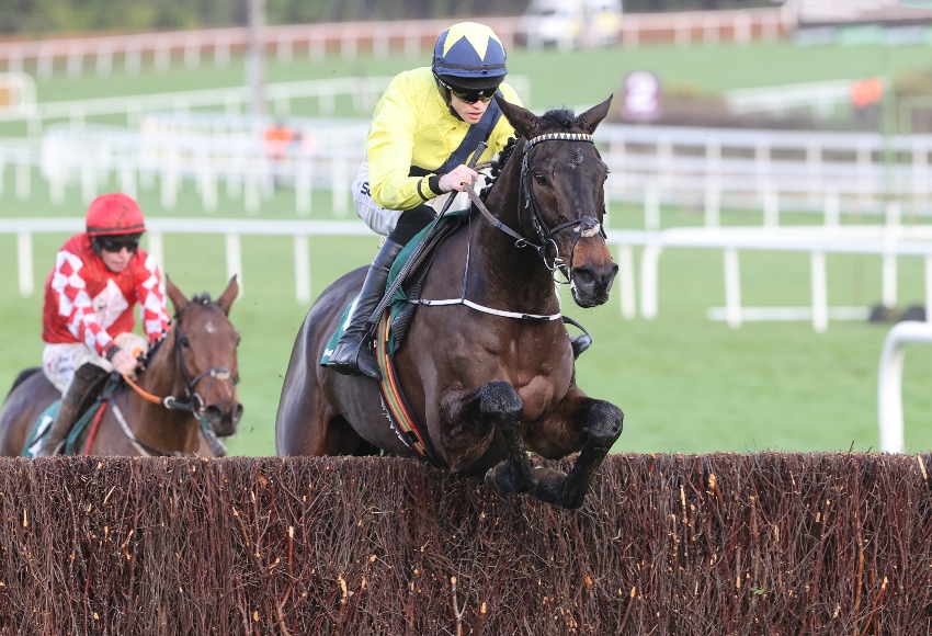 Six of the best: National Hunt horses to follow in 2024