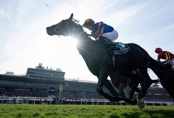 Auguste Rodin caps incredible year with Breeders' Cup success