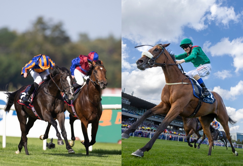 Auguste Rodin and Tahiyra climb Cartier Horse of the Year Awards