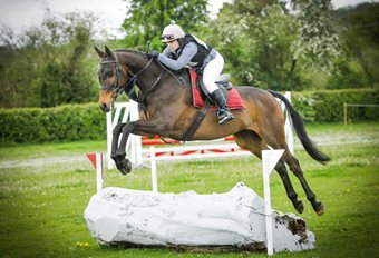Briar Hill thriving ahead of Dublin Horse Show appearance