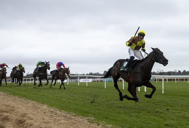 Galopin Des Champs primed to etch name further into Festival folklore