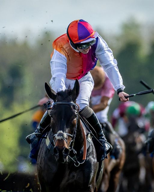 Haiti Couleurs lands stunning BoyleSports Irish Grand National success