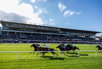 Irish Champions Festival: All you need to know