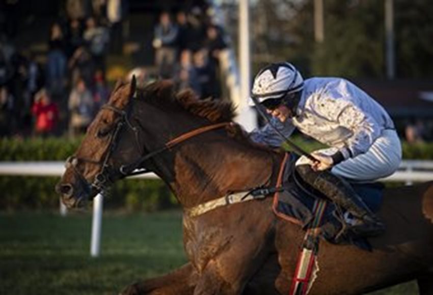 Jordan Kidd enjoying 'best year yet' after maiden winners
