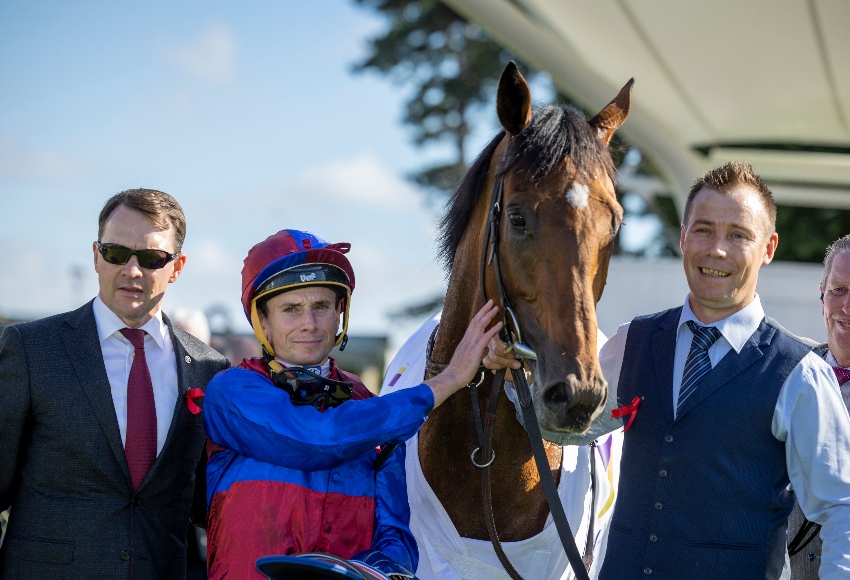 World Pool Moment of the Day returns to Leopardstown