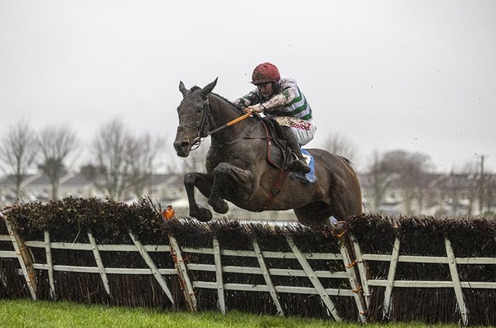 Naas Racecourse gearing up for Grade 1 Ballymore Novice Hurdle Day extravoganza 