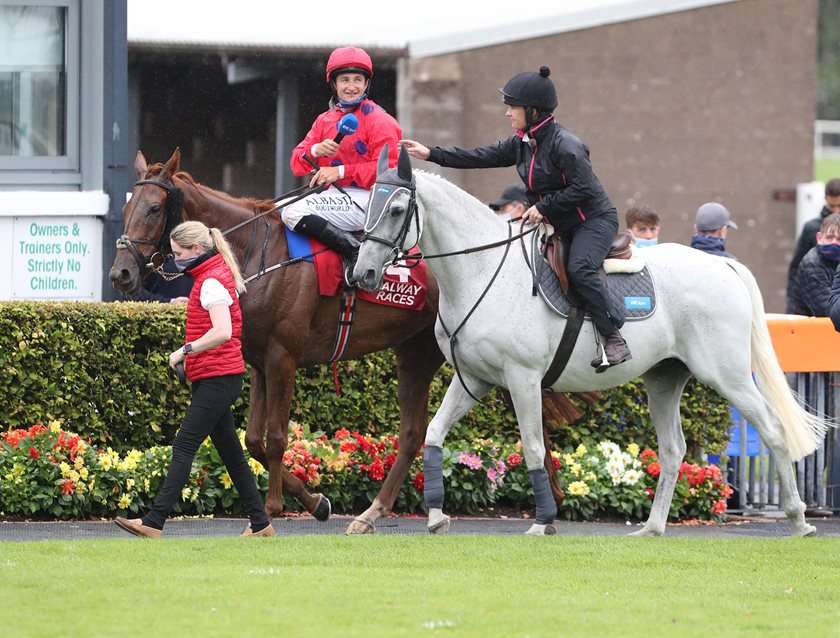 Meet Thousand Stars at Dublin Racing Festival