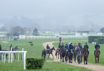One day to go: Your essential Cheltenham Festival briefing