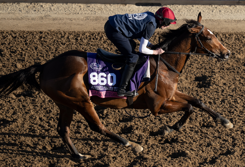 Questions finally ready to be answered at Breeders' Cup
