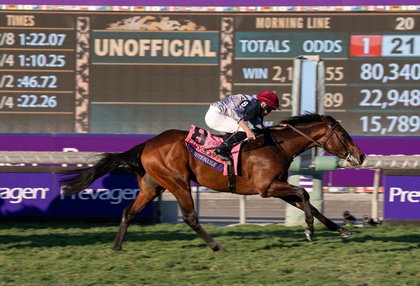 Unquestionable triumph gives Ballydoyle fresh hope of Auguste Rodin success