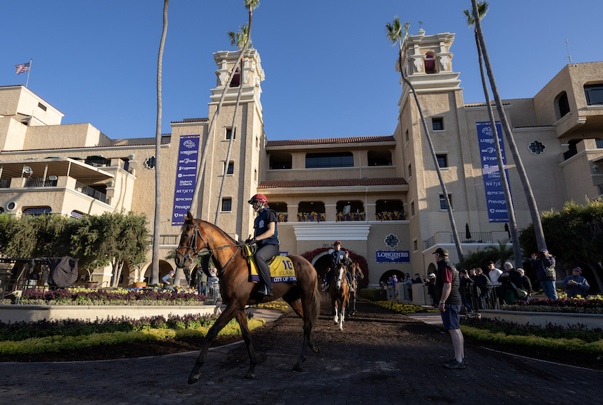 Unite behind City of Troy to make history at the Breeders' Cup