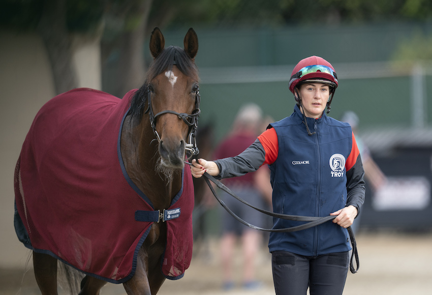 O'Brien cautiously confident after City of Troy learns Breeders' Cup draw