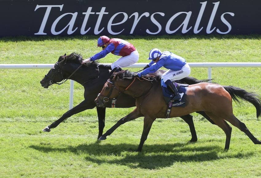 Los Angeles ready to seize star billing at Royal Ascot