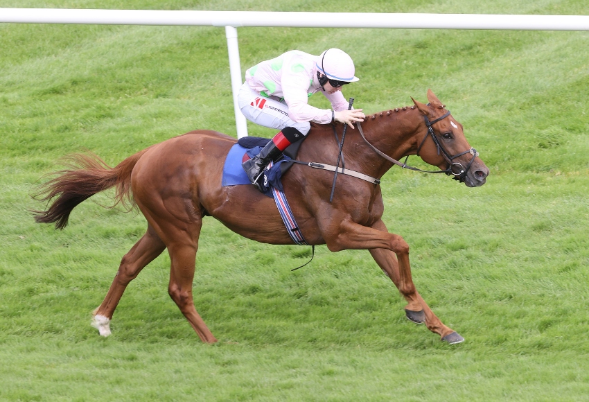 Melbourne Cup 2023: Danny Mullins backs Closutton hopefuls