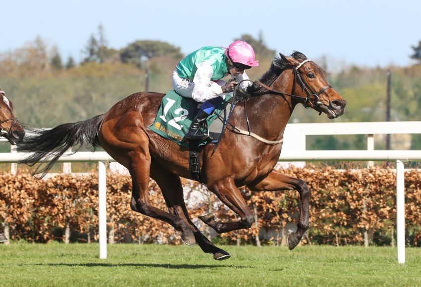 Swelter ridden by Chris Hayes wins The Ballylinch Stud Priory Belle Stakes at Leopardstown in March and has been declared for the Tattersalls Irish 1,000 Guineas at the Curragh on Sunday. Photo: carolinenorris.ie