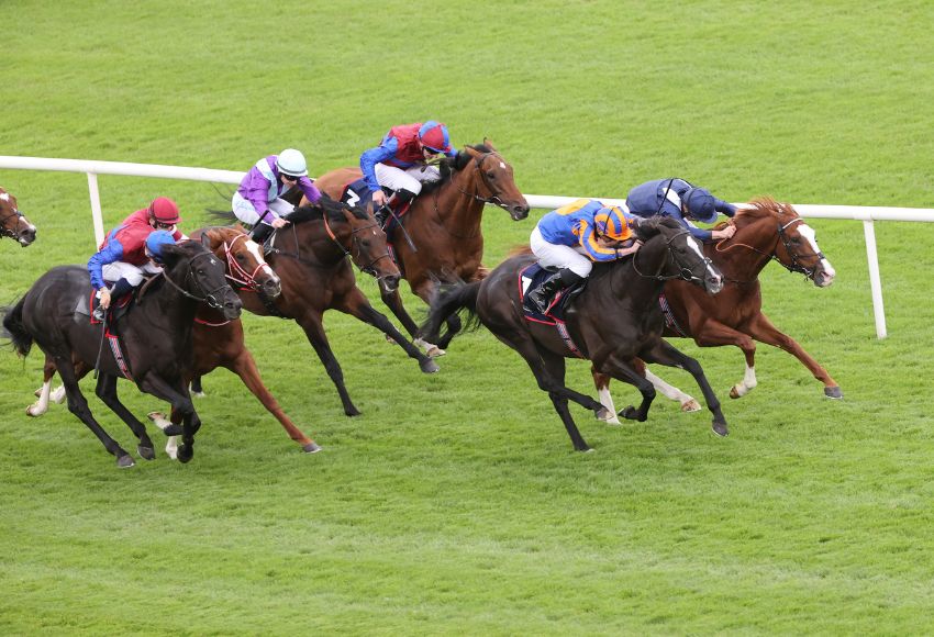 Economics wins The Royal Bahrain Irish Champion Stakes 2024 from Auguste Rodin in second and Shin Emperor in third. Eight runners have been declared for Saturday's renewal at Leopardstown. 