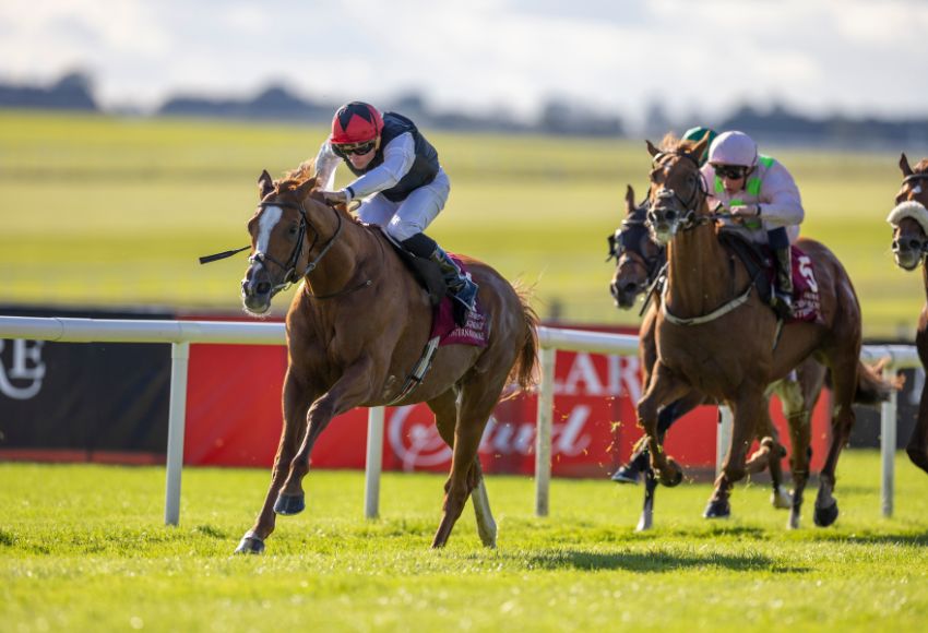 Kyprios and Ryan Moore win last years Comer Group International Irish St Leger.  Unbeaten raider Amiloc takes on big two in Sunday's renewal at the Curragh.  