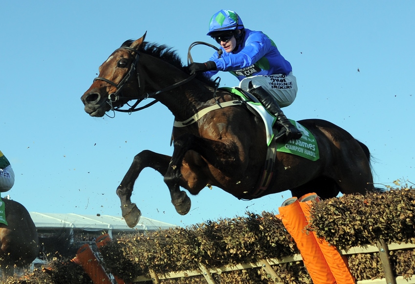 Hurricane Fly 