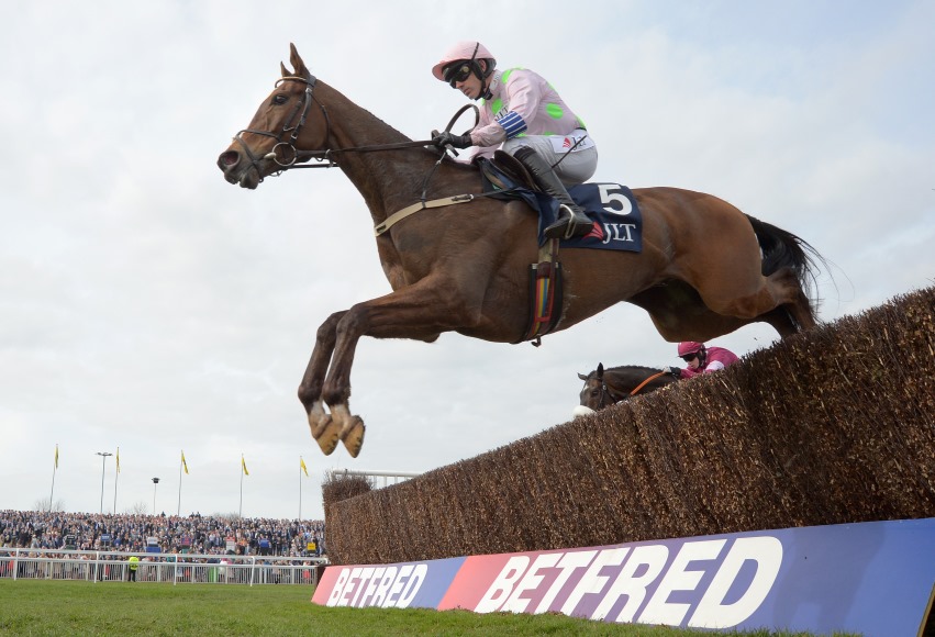 Vautour