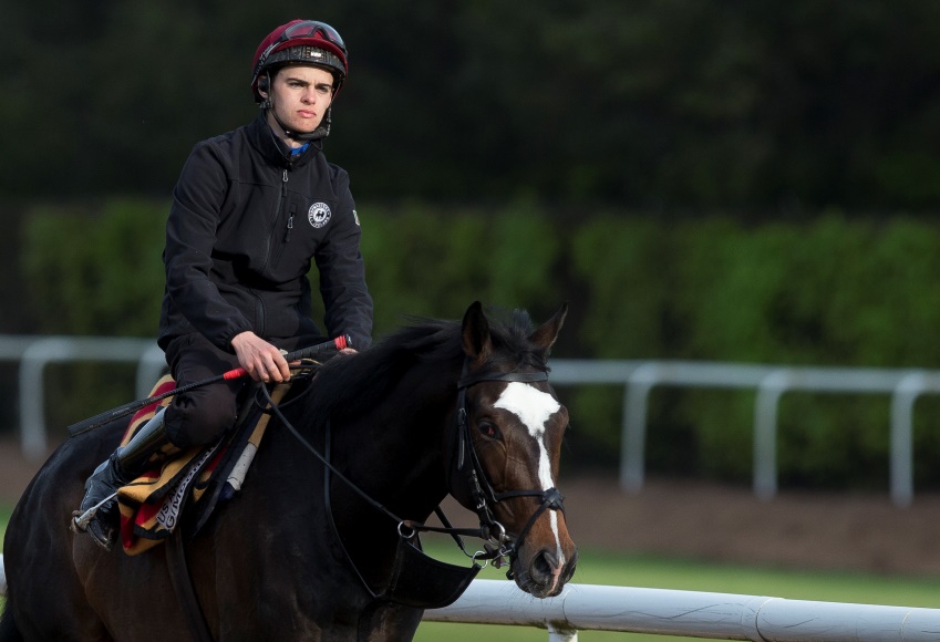 Donnacha O'Brien