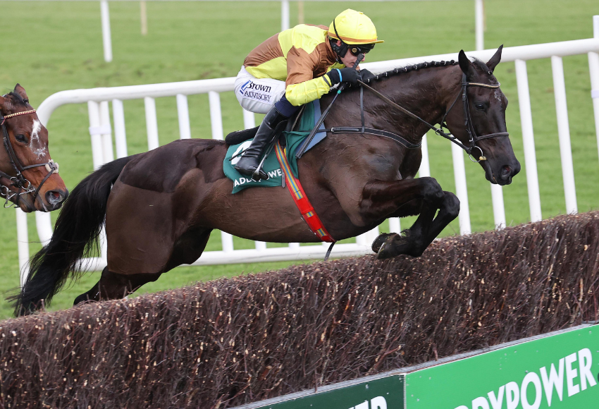 Galopin Des Champs bids for a fourth win in The Paddy Power Irish Gold Cup at Dublin Racing Festival on Saturday January 31. 