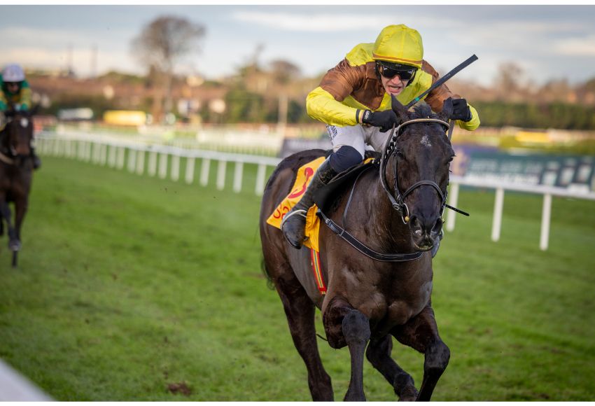 Dublin Racing Festival Grade 1 races attract stellar entry