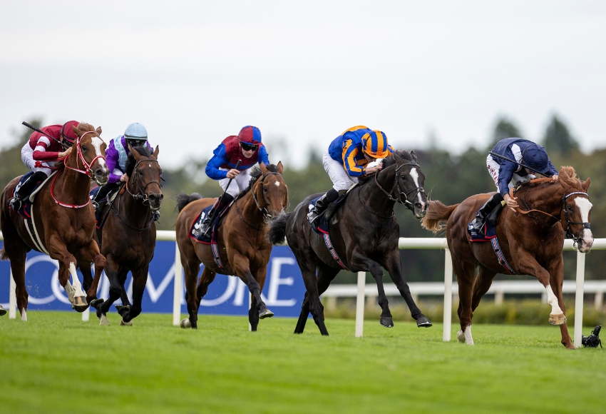 Economics just gets the better of Auguste Rodin with Shin Emperor (left) taking third place in the Royal Bahrain Irish Champion Stakes on the opening day of Irish Champions Festival at Leopardstown last year. The first and third horses could clash again in the latest renewal of the race in September. Photo: Patrick McCann/Racing Post