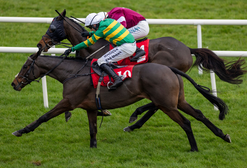 Better Times Ahead (nearside) is a smart contender for the Grade 3 Goffs Thyestes Handicap Steeplechase at Gowran Park this Thursday for trainer Robert Tyner.