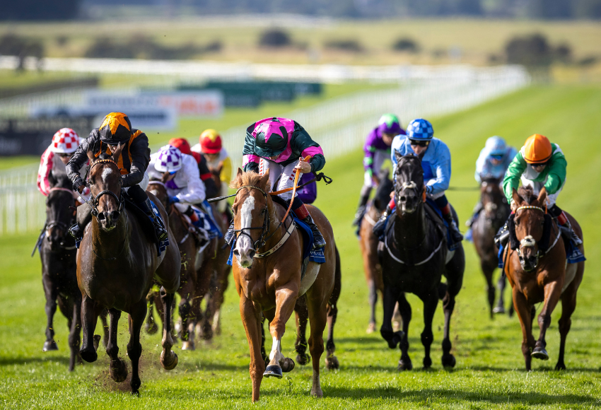 Details of €4.3m increase announced to restore competitiveness to Irish prize money 