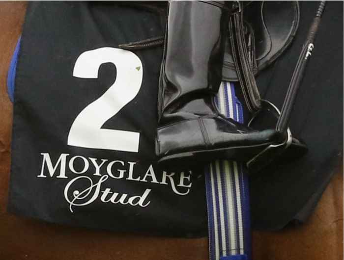 Close up of Moyglare Stud sponsorship
