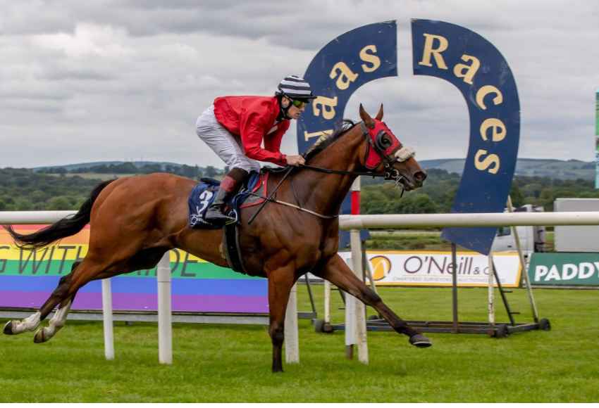 Naas Racecourse - Horse runs past finish post