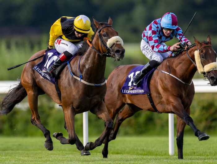 Two horses battling it out with each other towards the finishing line