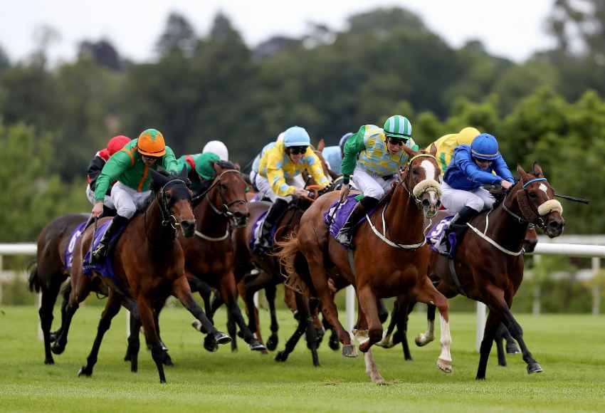 Horses runing on the track at Leopardstown Racecourse