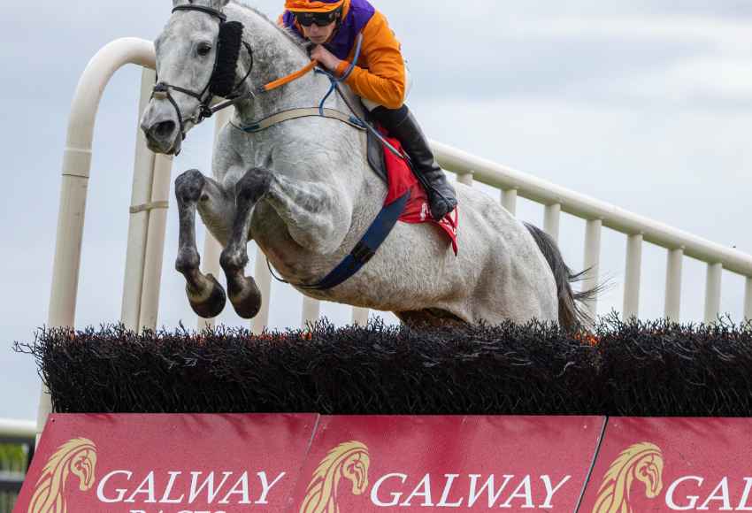 Grey Horse jumping at Galway races