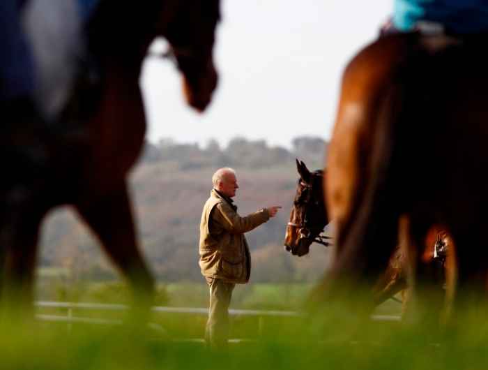 Willie Mullins out in paddock 