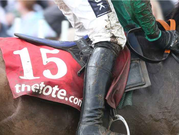 Close up image of saddle cloth with tote branding