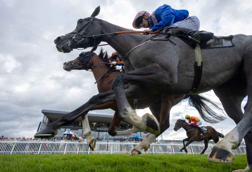 Camera shot from underneath the horses at Naas racecourse