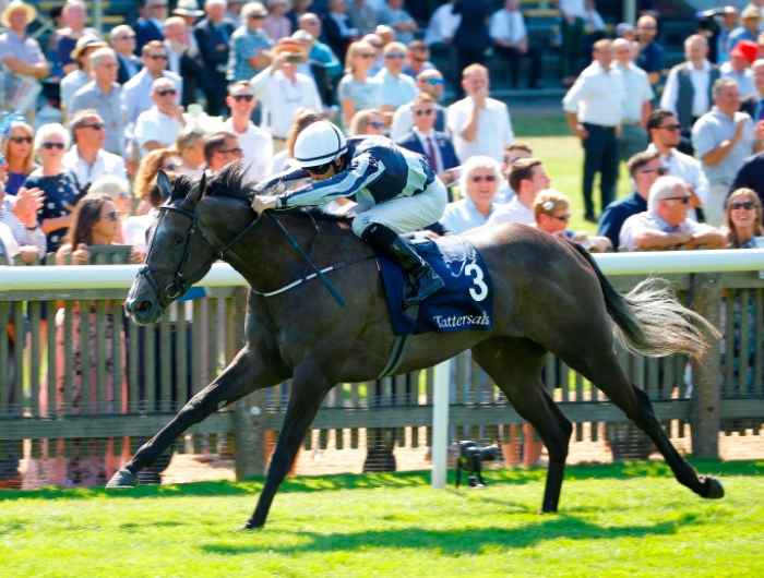 Alpha Centauri running at the racecourse