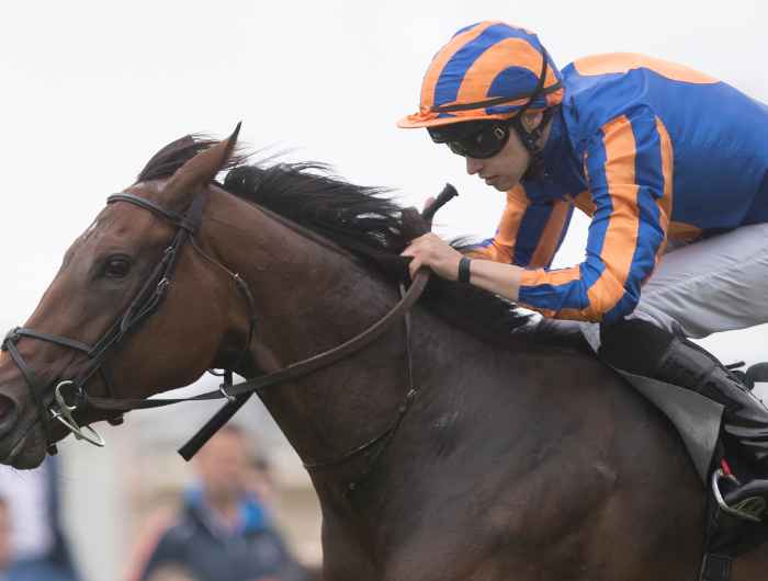 Music box and Donnacha O'Brien teaming up