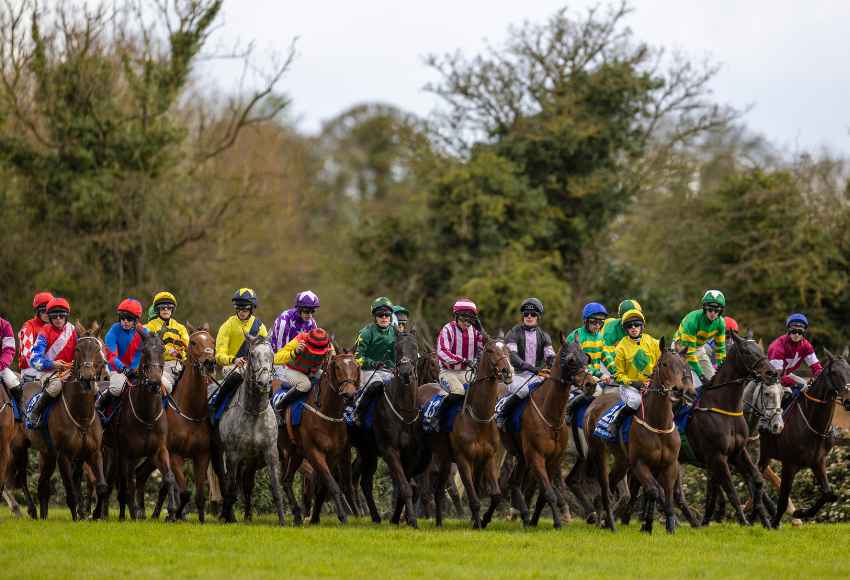 The start of the Irish Grand National at Fairyhouse