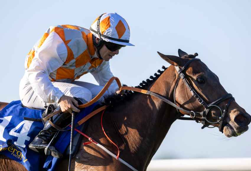 Horse and jockey flying by at Tipperary racecourse 